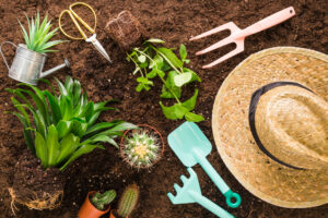 Conseils de Jardinage pour les Débutants