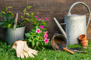 L'arrosoir, un accessoire indispensable pour une maison bien décorée