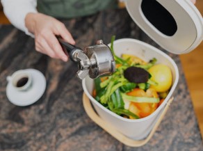 Quelles plantes n'aiment pas le marc de café ?