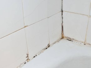 Comment enlever la moisissure dans la salle de bain ?