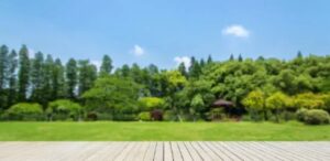 Comment nettoyer une terrasse en bois ?