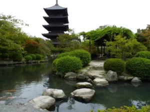 L'art du Niwaki : La taille japonaise qui sublime votre jardin 