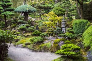 L'art du Niwaki : La taille japonaise qui sublime votre jardin 