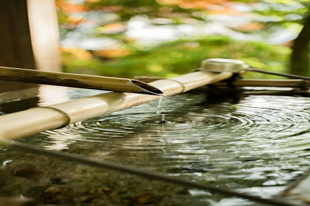 Fontaine Japonaise en Bambou : Guide Complet